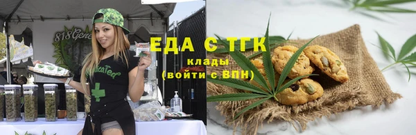 шишки Верея