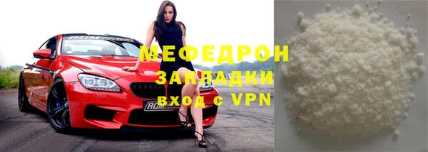 шишки Верея