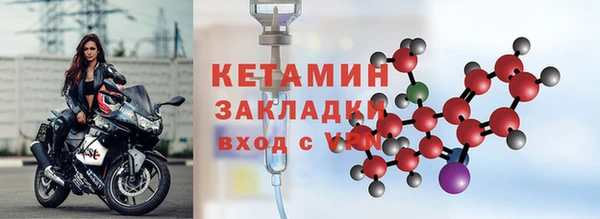 шишки Верея