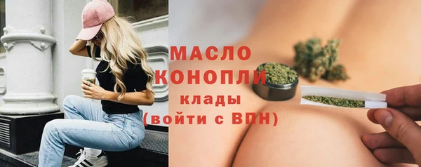шишки Верея