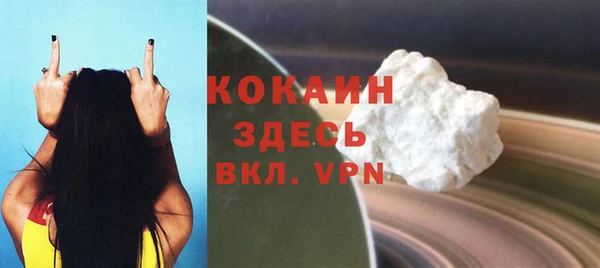 шишки Верея