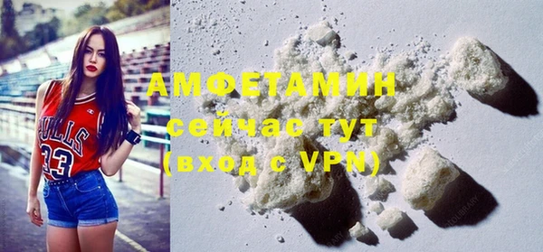 шишки Верея