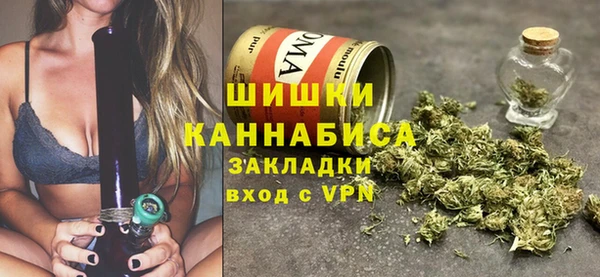 шишки Верея