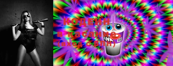 шишки Верея